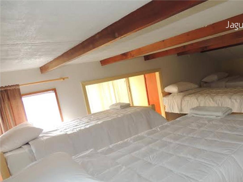 Hostel Jaguar วิญาเดลมาร์ ห้อง รูปภาพ